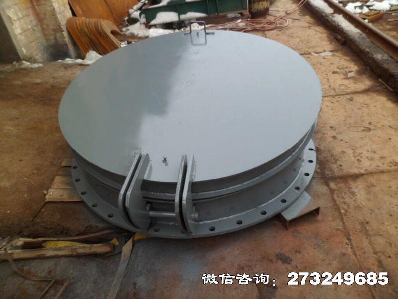 水庫(kù)鑄鐵拍門(mén)